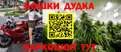 прущие грибы Обь