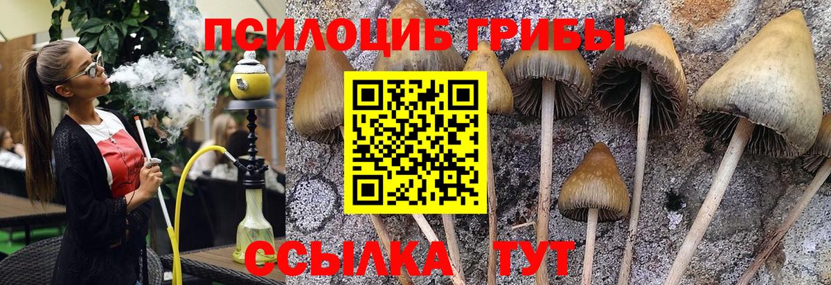 Галлюциногенные грибы мухоморы  Вход с VPN  Артём 